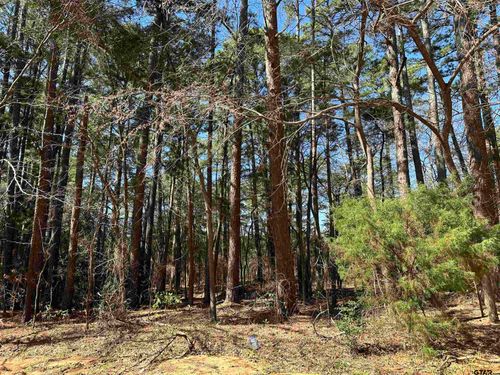 1473 Red Bud Cir, Bullard, TX, 75757-6411 | Card Image