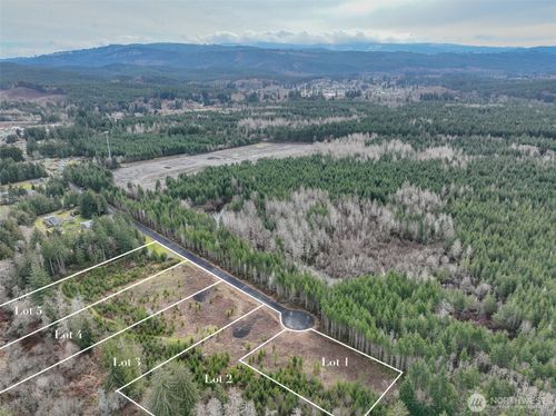 0 Lot 4 Larson Road, Mccleary, WA, 98557 | Card Image