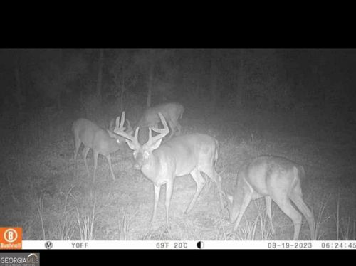 0 Ballpark Ave, Damascus, GA, 39841 | Card Image