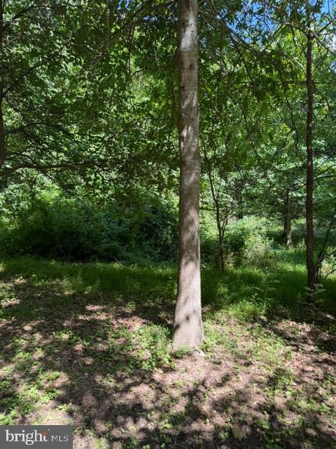 Land in CROWNSVILLE 5