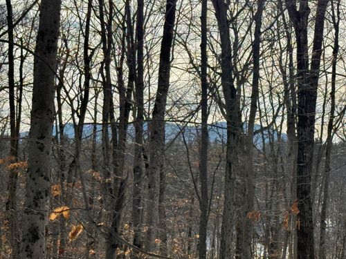 153 Sweden Road, Bridgton, ME, 04009 | Card Image