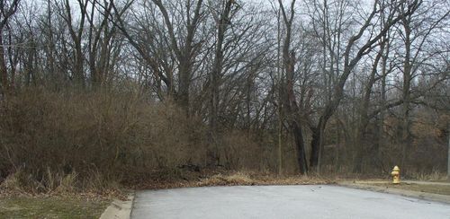 7003 W Appr 173rd Pl, Lowell, IN, 46356 | Card Image