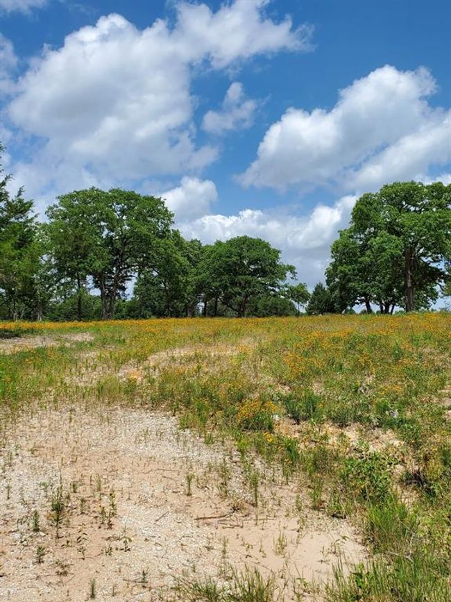 21 Cr 389, Home with 0 bedrooms, 0 bathrooms and null parking in Jewett TX | Image 11