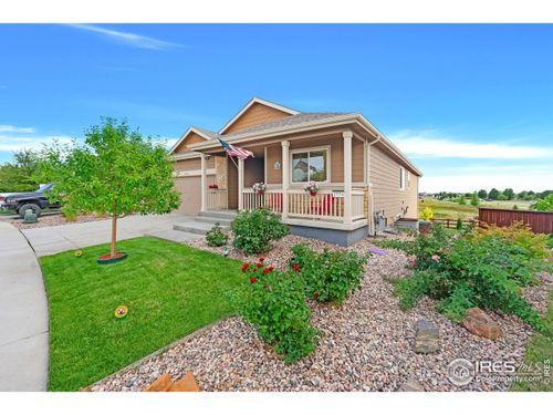 1774 Thrive Dr, Windsor, CO, 80550-3700 | Card Image