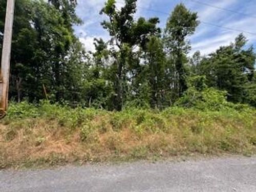 0 Whispering Heights Lot 17 Dr, Hardy, VA, 24101 | Card Image