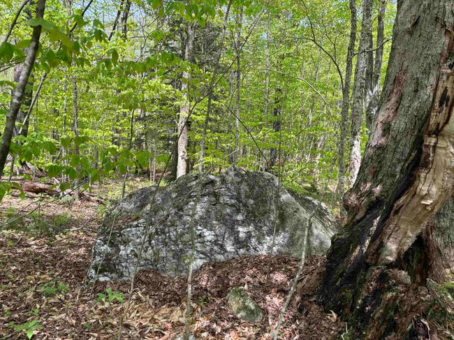 0 Snell Rd, Home with 0 bedrooms, 0 bathrooms and null parking in Chester VT | Image 4