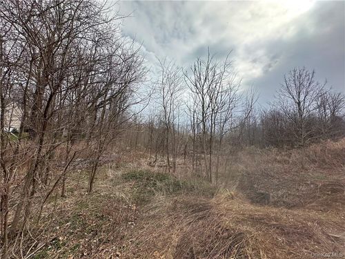 39 Roundhill Rd, Hopewell Junction, NY, 12533-6718 | Card Image