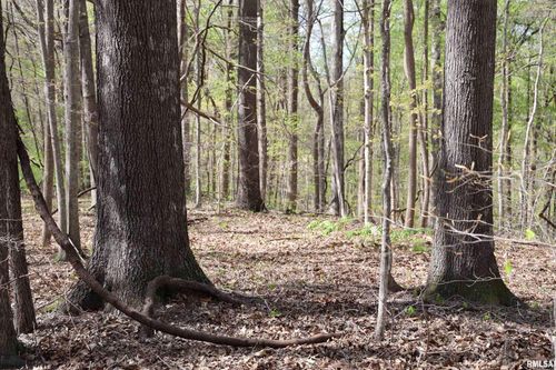 000 Bean Ridge Rd, Thebes, IL, 62990 | Card Image