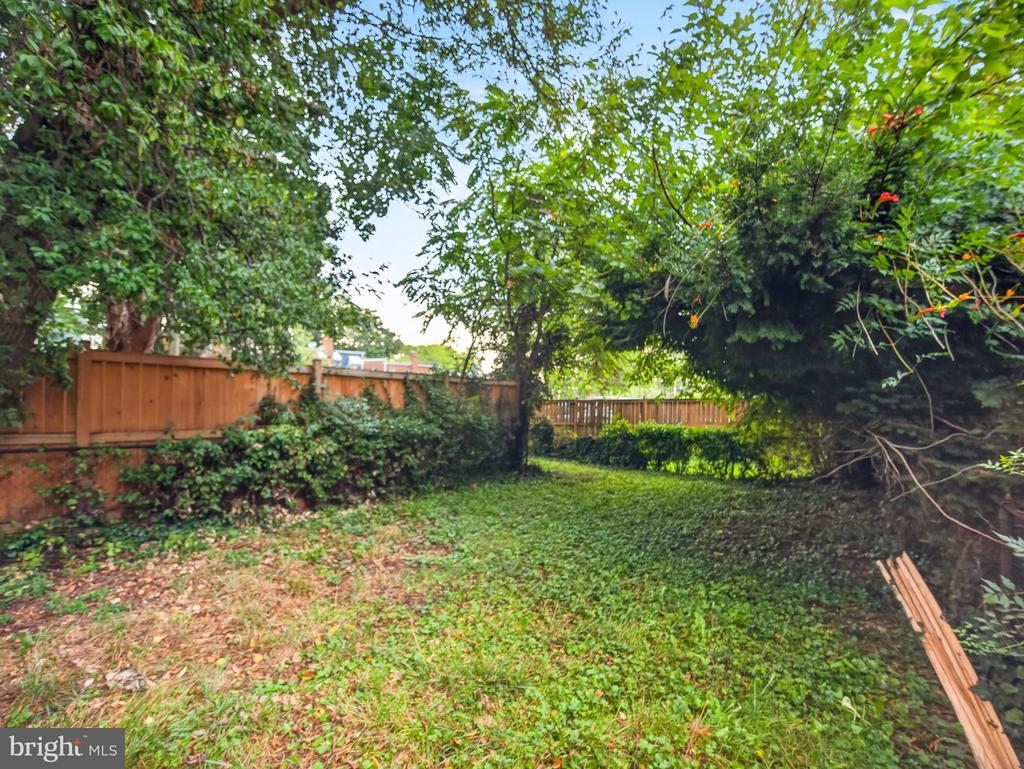Residential Lease in WASHINGTON 4