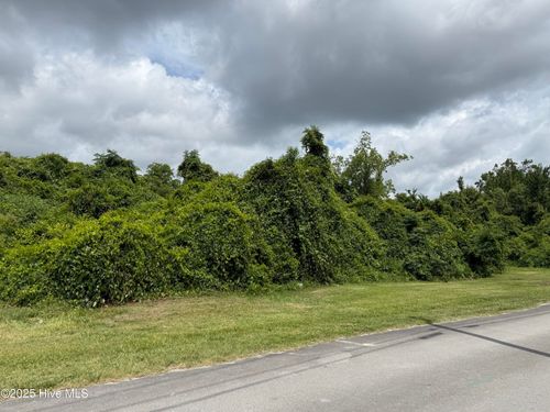 1009 Bloomfield St, New Bern, NC, 28560-3908 | Card Image