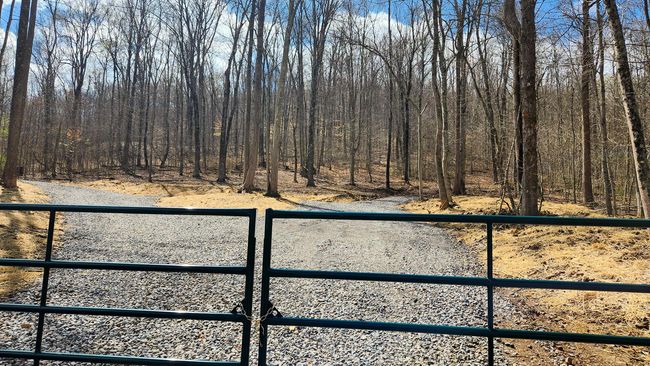 TRACT-1-PIKE-LAKE-GETAWA - 0 Pike Lake Rd, Home with 0 bedrooms, 0 bathrooms and null parking in Bainbridge OH | Image 7