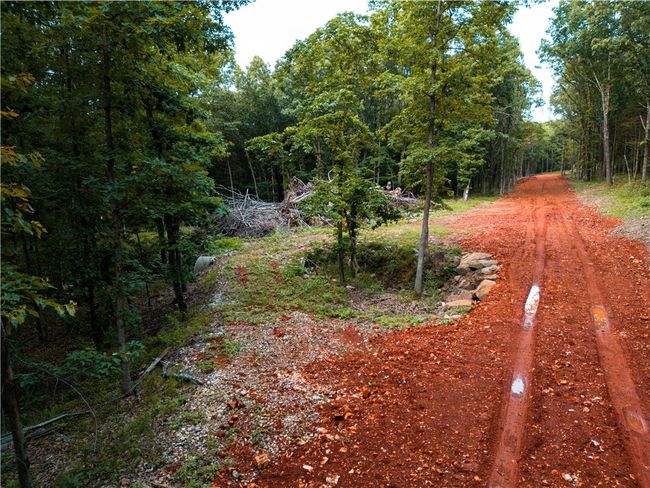 4120 Sassafrass Hill Rd, Home with 0 bedrooms, 0 bathrooms and null parking in Springdale AR | Image 6