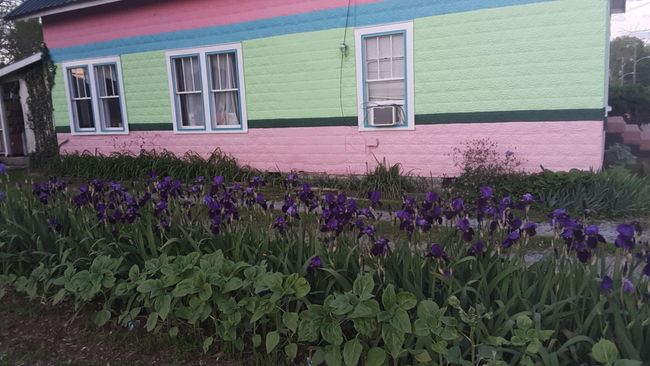 215 Main St, House other with 5 bedrooms, 1 bathrooms and null parking in N Middletown KY | Image 5