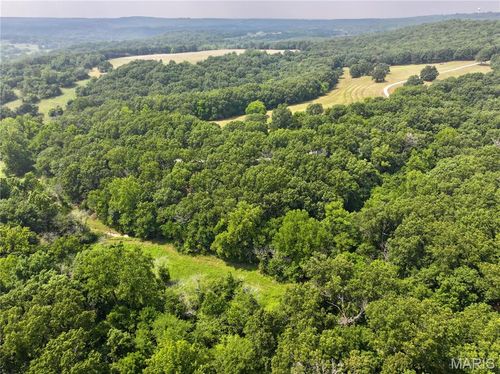 TBD Highway 17, Tract 19, Unincorporated, MO, 65452 | Card Image