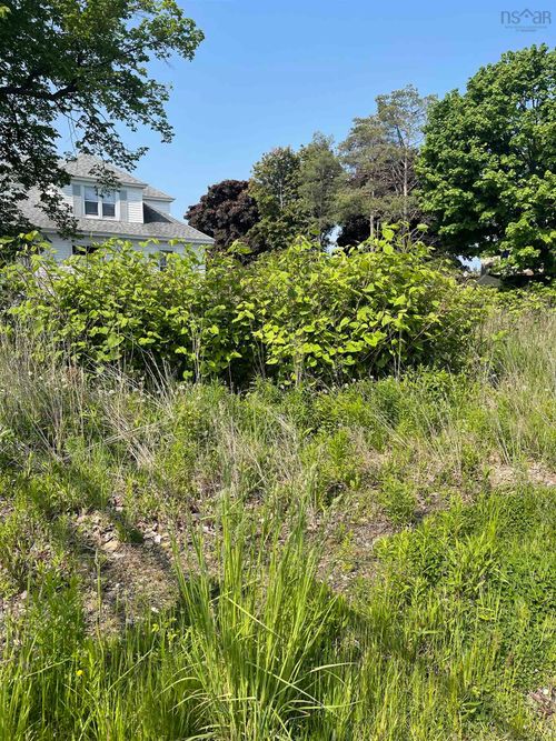 52 Pierce St, North Sydney, NS, B2A1M9 | Card Image