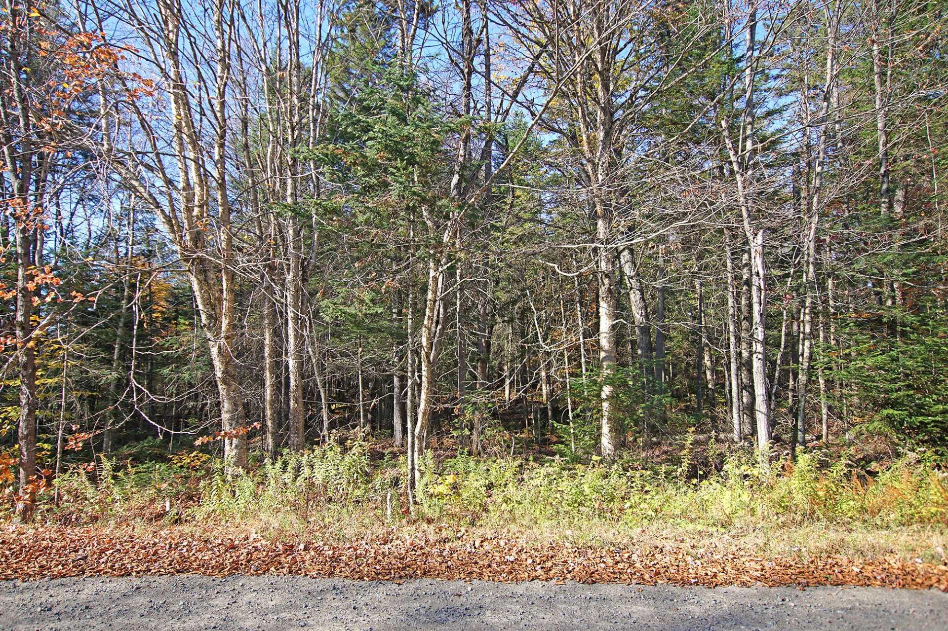 Land in Wentworth 4
