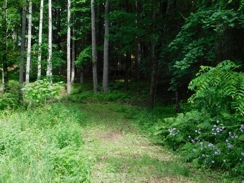 215 Taconic Rd, Salisbury, CT, 06068-1202 | Card Image