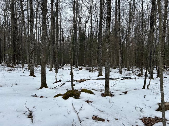 743 Woodlawn Rd, House other with 2 bedrooms, 1 bathrooms and null parking in Pickerel WI | Image 48