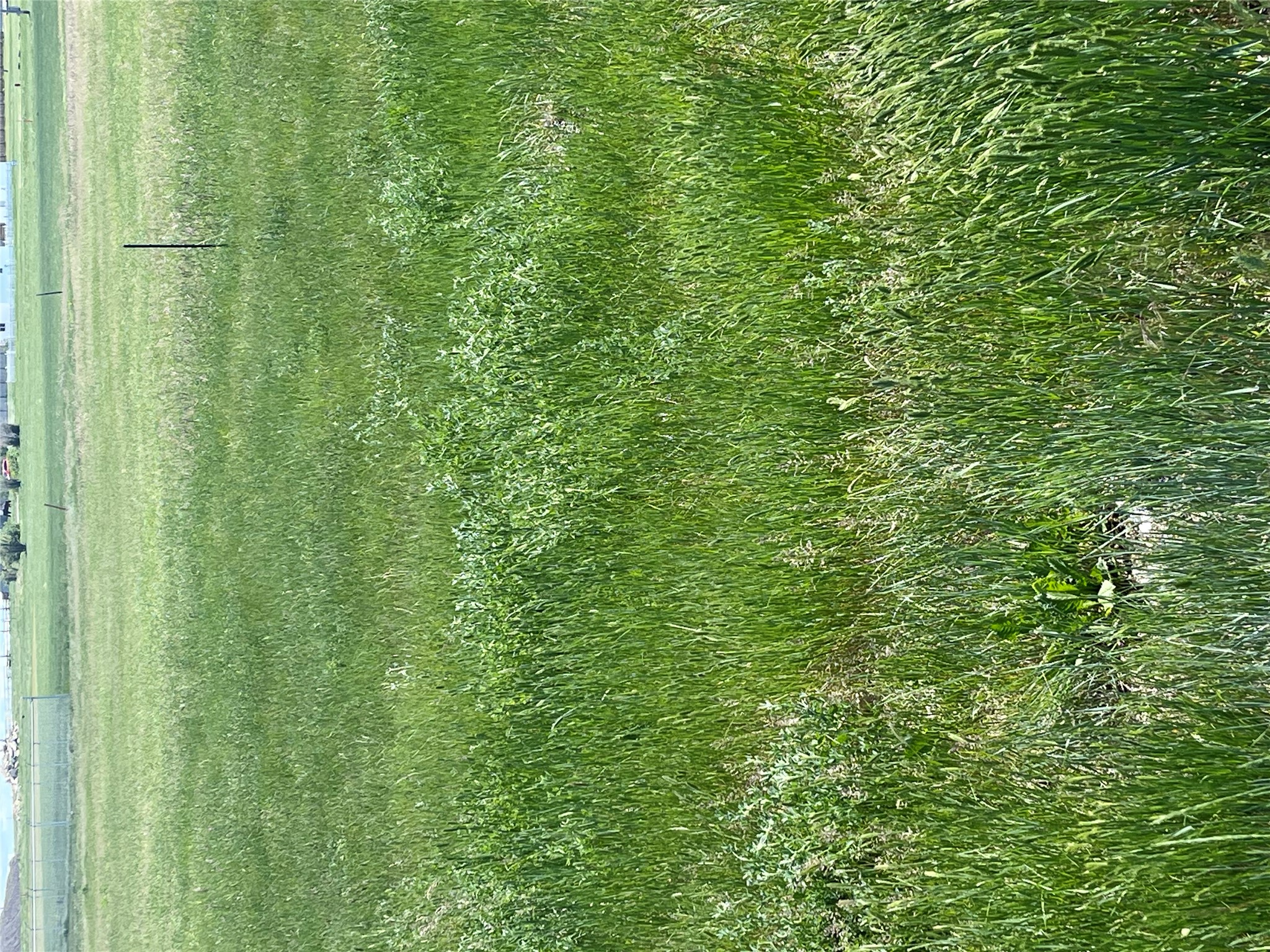 Land in Valier 3