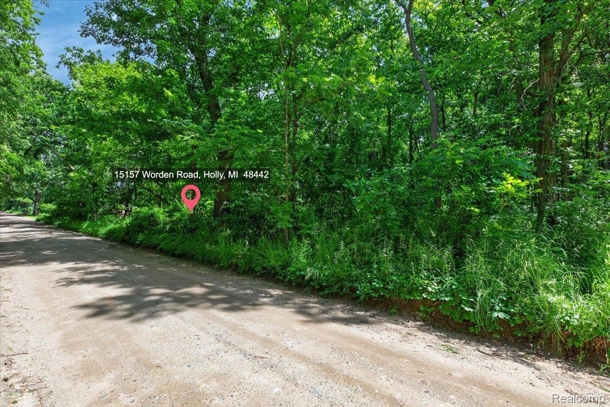 Residential in Groveland Township 2