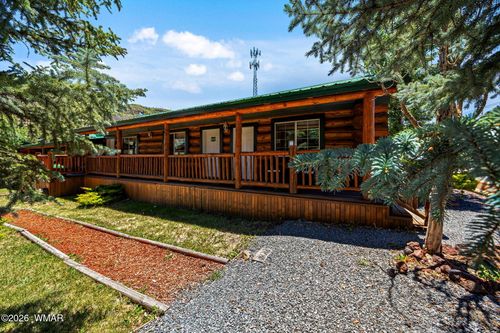 80 1120 Unit 203 (Cabin 251), Greer, AZ, 85927 | Card Image