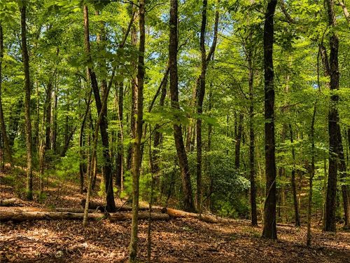 J208 Pine Ridge Rd, Ellijay, GA, 30536 | Card Image