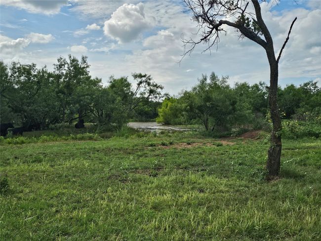 View of yard | Image 22