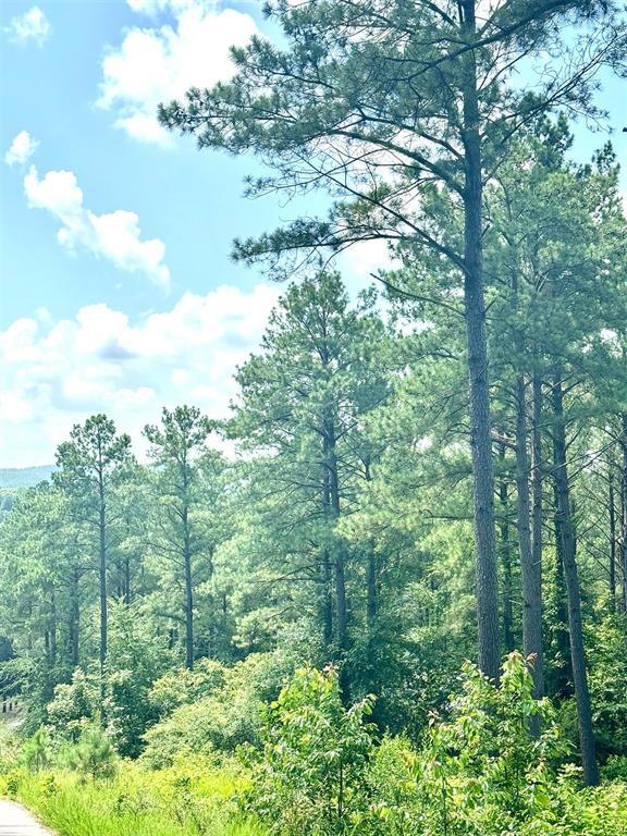 Land in Broken Bow 4