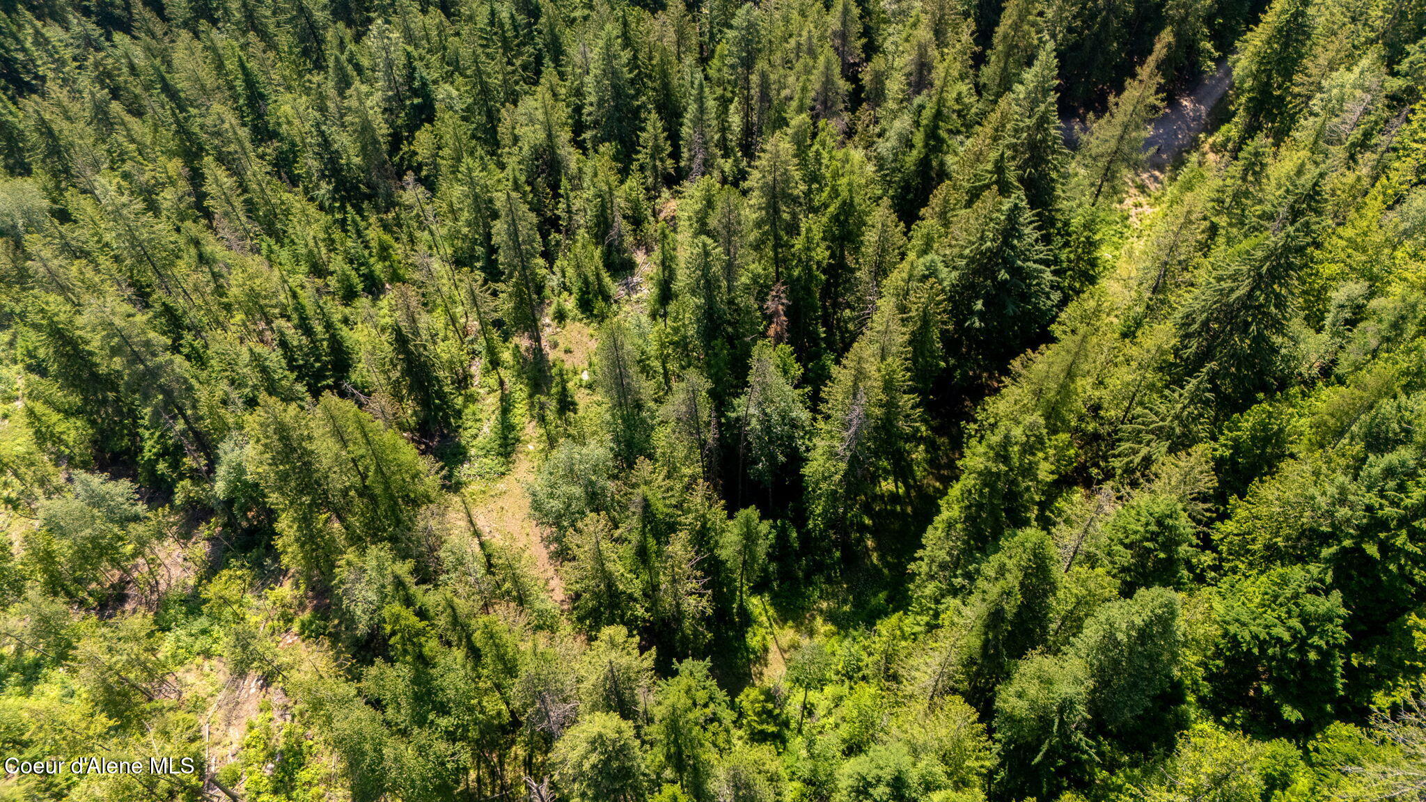 Land in Sandpoint