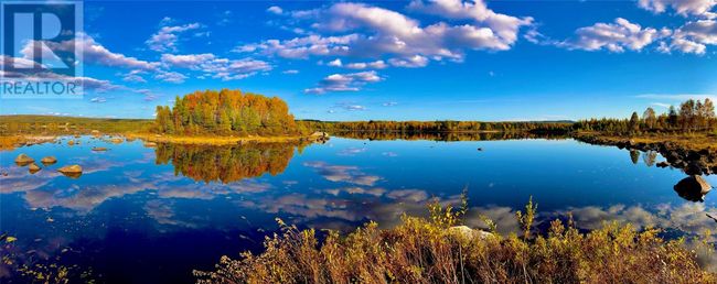 15 Paul's Lake Sideroad, Home with 3 bedrooms, 2 bathrooms and null parking in Badger NL | Image 39