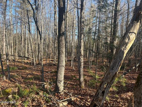 3171 State Route 8, Johnsburg, NY, 12843 | Card Image