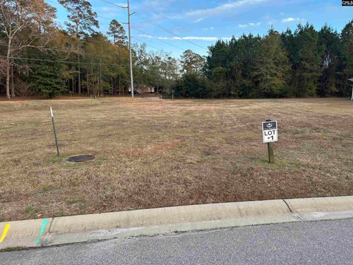 111 Sago Palm Dr, Orangeburg, SC, 29118-2304 | Card Image