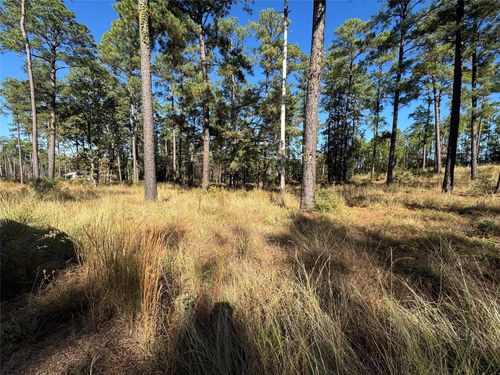 057 Private Road 6028, Brookeland, TX, 75931 | Card Image