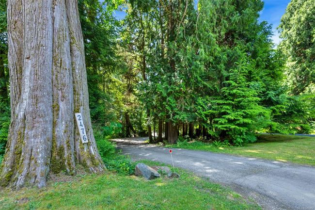 View of road | Image 97