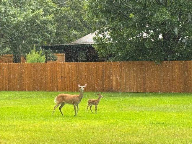 174 Charlya Dr, Home with 0 bedrooms, 0 bathrooms and null parking in Athens TX | Image 10