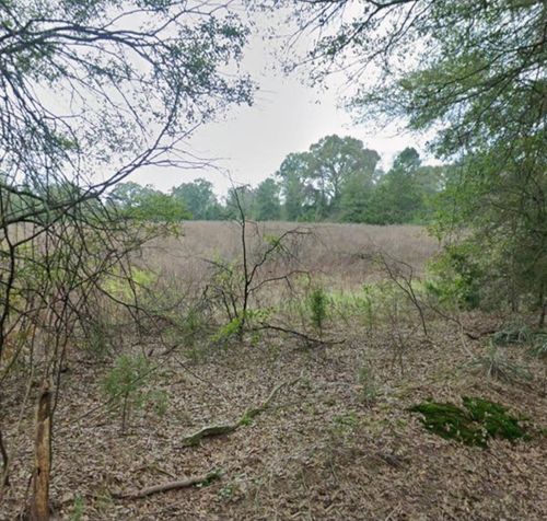 TBD County Road 3324, Pittsburg, TX, 75686 | Card Image