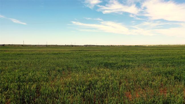 330 County Road 404, Home with 0 bedrooms, 0 bathrooms and null parking in Loraine TX | Image 5