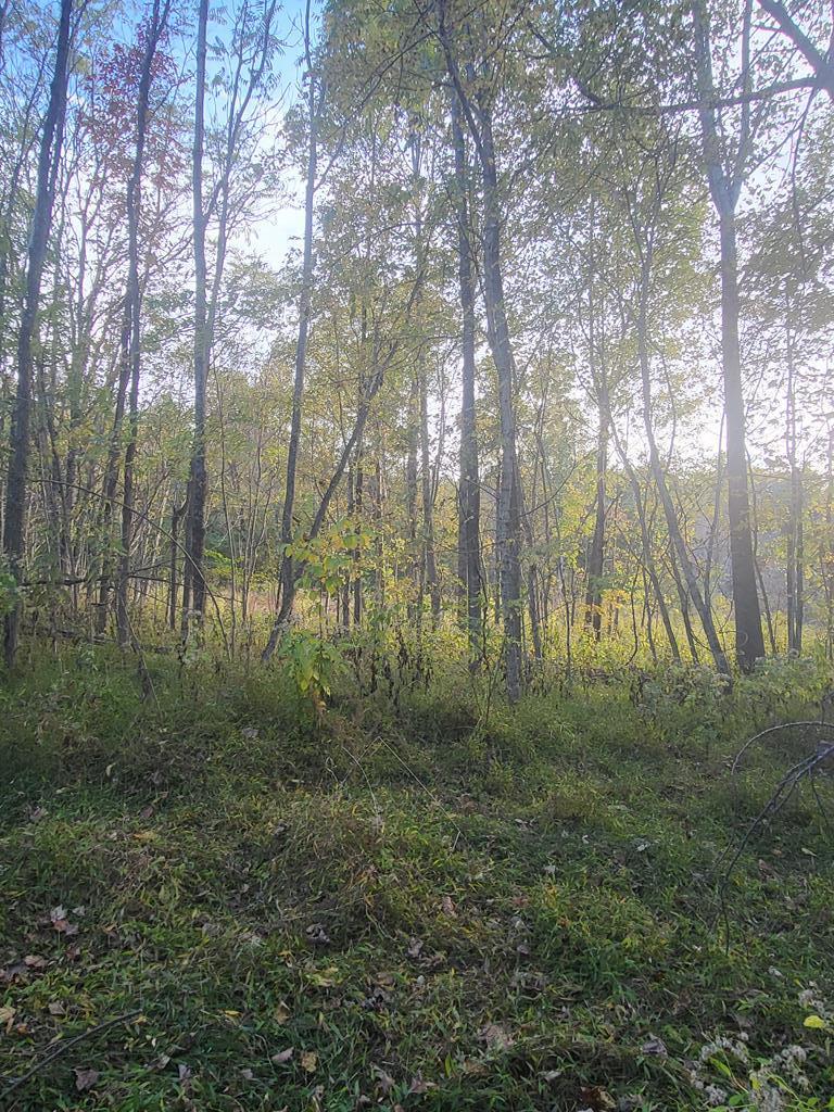 Turkeytown Rd, Hilham, TN 38568