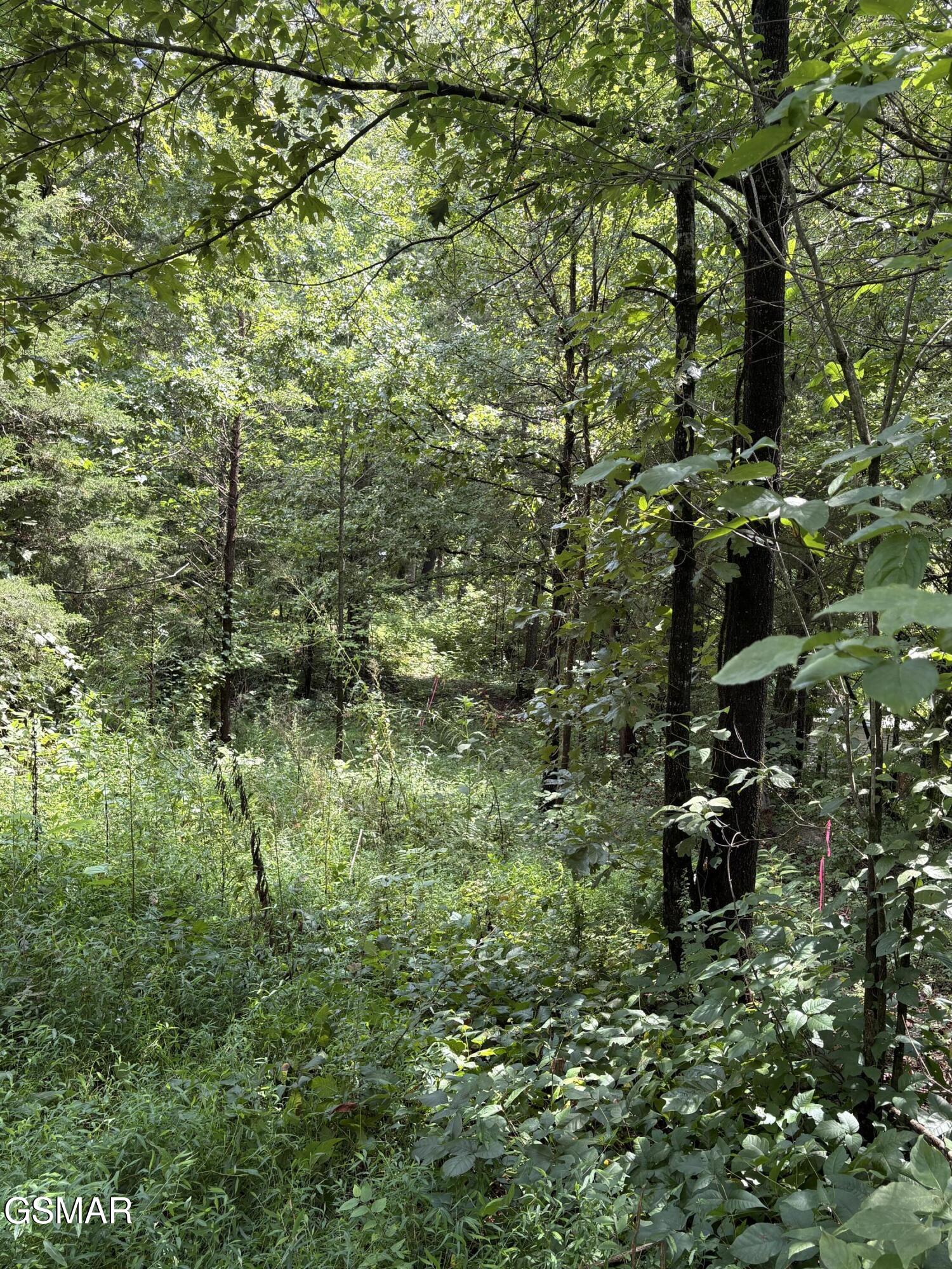 Land in Strawberry Plains 4