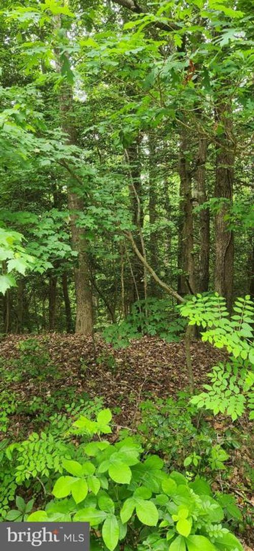 Lot 68 Traveller Cir, Montross, VA, 22520-9005 | Card Image