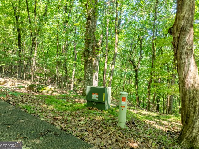 3.65AC Emory Stephens Rd, Home with 0 bedrooms, 0 bathrooms and null parking in Murrayville GA | Image 8