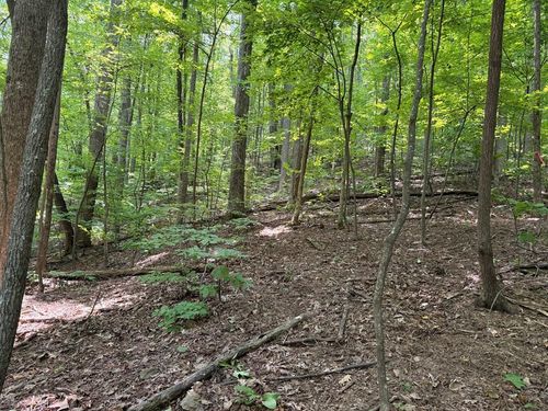 LT J351 Mountain View Ct, Ellijay, GA, 30536 | Card Image