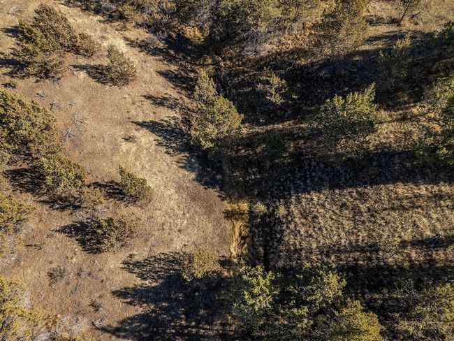 46459 Shaniko-Fossil Hwy aerial_0370 cop | Image 40