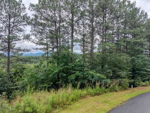 LOT 34 Mile High Lane, Blairsville, GA, 30512 | Card Image