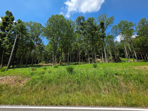 1 Cave Creek Rd, Falls Of Rough, KY, 40119-6413 | Card Image