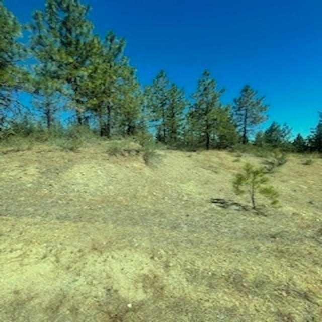 Land in Davenport 4