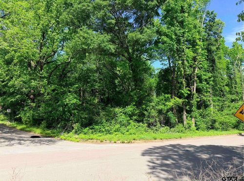 1023 S Peach Ave, Tyler, TX, 75701 | Card Image