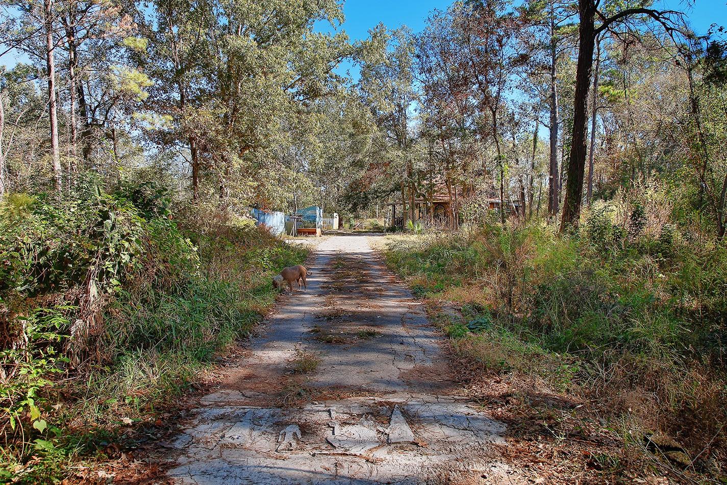Residential in New Caney 5