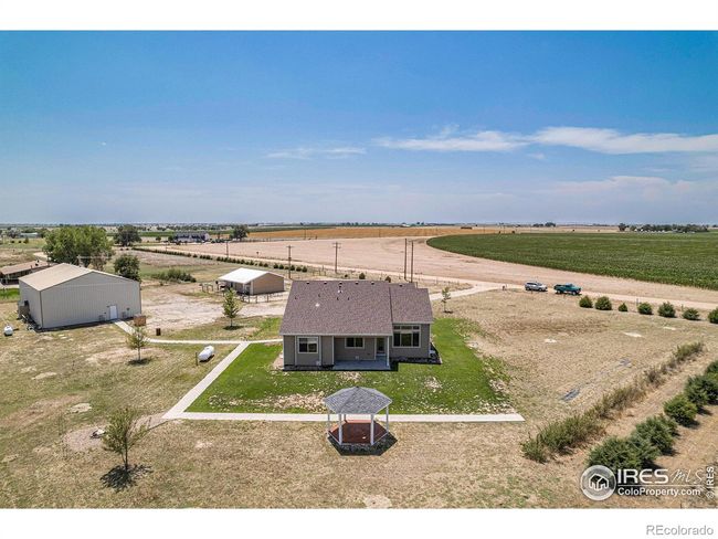 established tree line to the north- new grass planted around house with sprinkler | Image 28