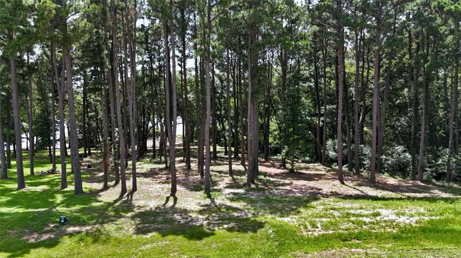 Lot 340 Grand View Dr, Home with 0 bedrooms, 0 bathrooms and null parking in Athens TX | Image 4